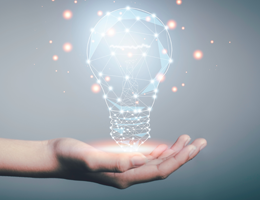 Sustainability Initiatives | Intellectual Property